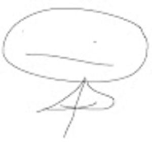 Meet your Posher, Ye